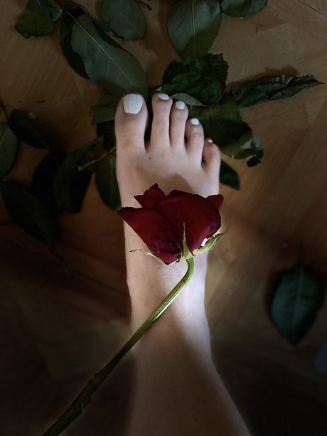 Lolly Toes_ leaked onlyfans sex tape