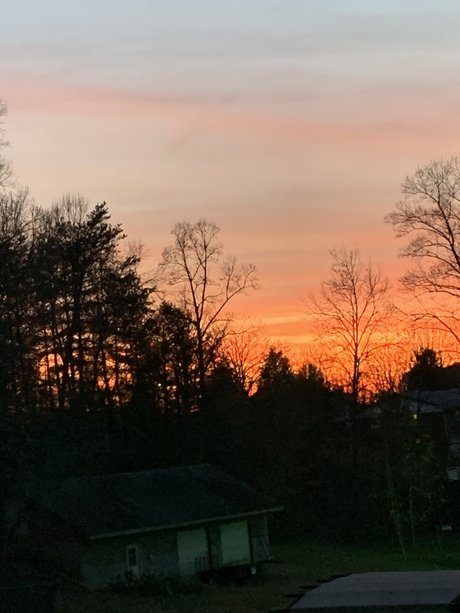 Lydia Lutz leaked naked onlyfans