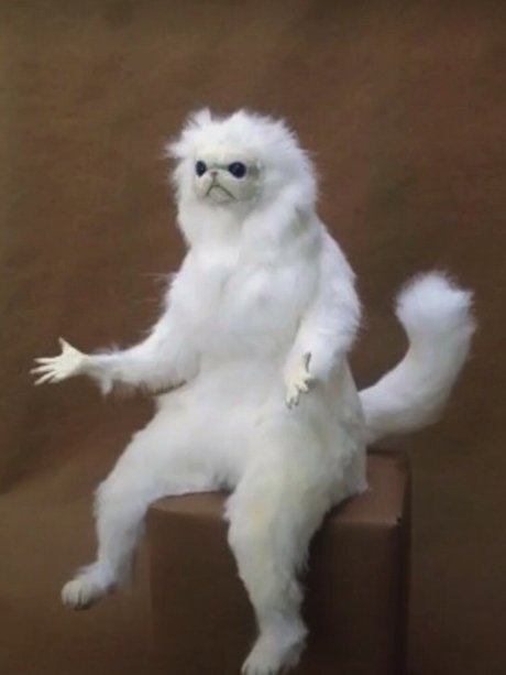 Mar Yay nude onlyfans