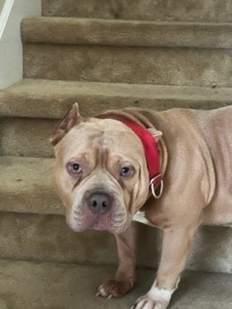 moochann onlyfans nudes leaks