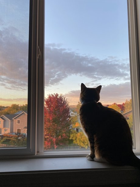 Feets R Us onlyfans leaked xxx