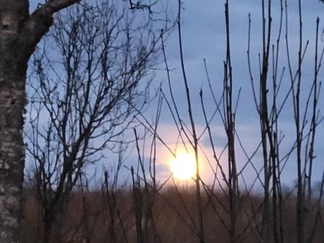 _PROMO Miss Shadow FREE desnuda onlyfans