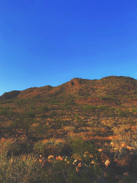 _Stella Rose_ onlyfans leaks nudes