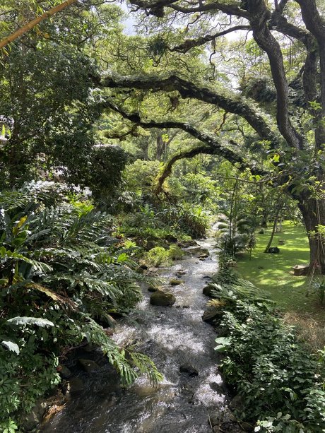 Kaelyn Michelle_ onlyfans leaked nudes