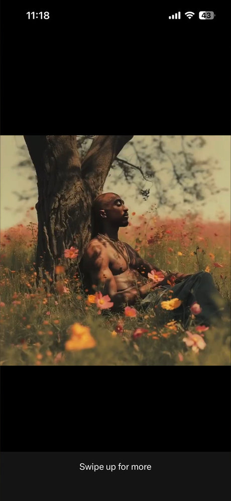 Miss Slayz Amiri B_ leaked onlyfans.