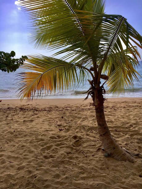 Mr JeanPi onlyfans porn