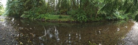 Nickelatnight onlyfans leaks naked