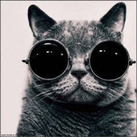 David Gadellha onlyfans archive