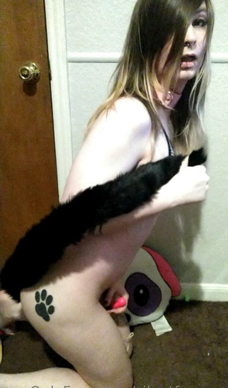 silentfoxowo onlyfans leams