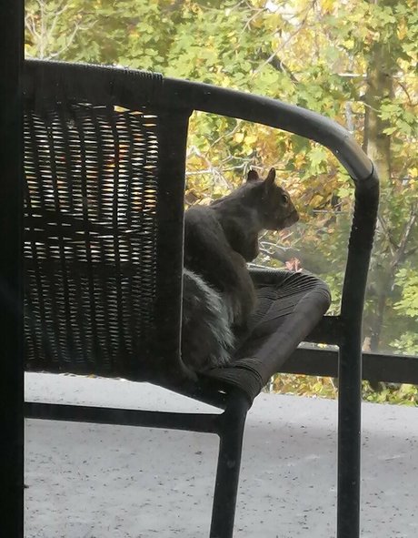 rubyoreilly porn onlyfans leak