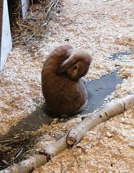 rubyoreilly onlyfans leak nudes