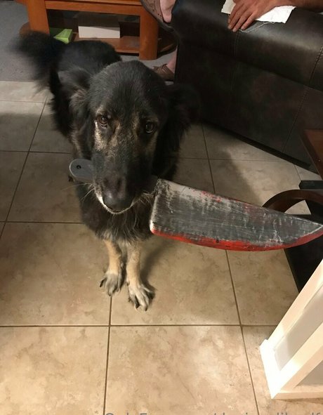 deviouslilwolf leaked nudes onlyfans