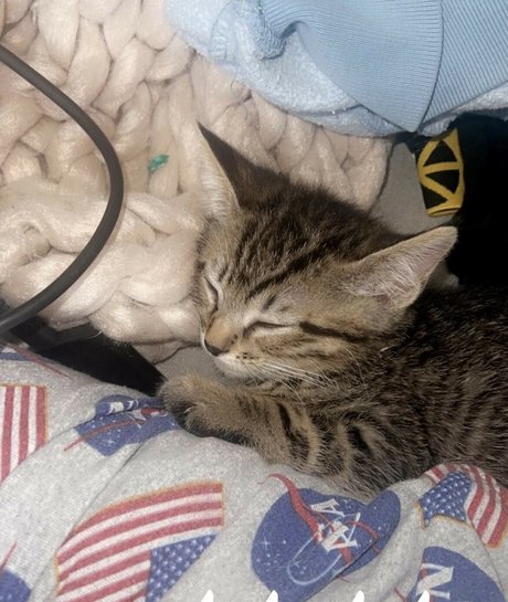 Sami Brielle onlyfans leaks nude