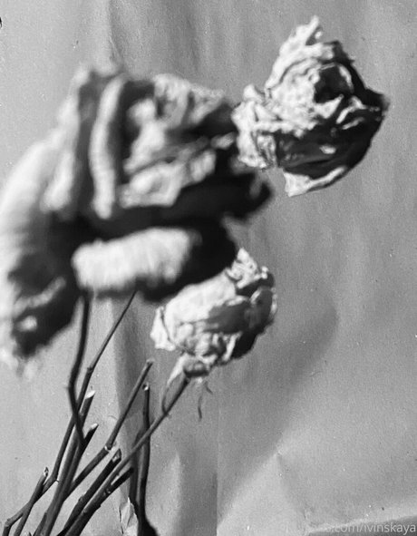 ivi ivinskaya onlyfans exposed