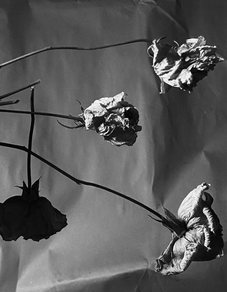 ivi ivinskaya sex onlyfans