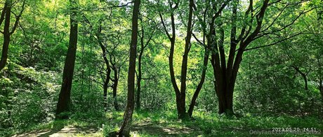 monicutex2 onlyfans content