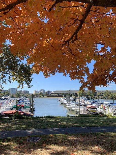 NYtoDC onlyfans leak xxx