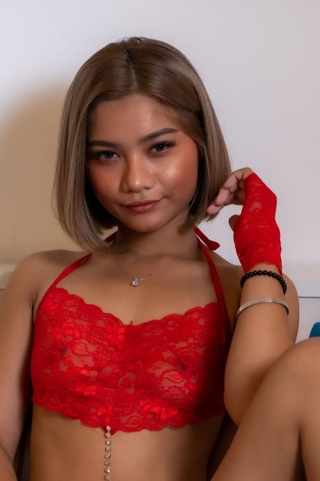 North Star Free Page onlyfans lesk