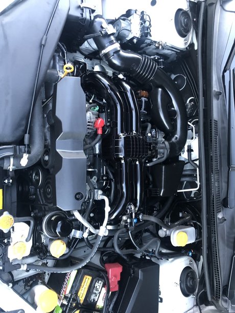 Puerto Rican onlyfans xxx