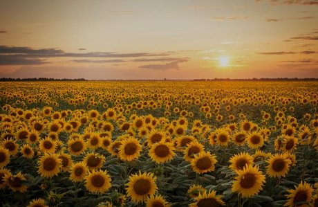 Patty leaked nude onlyfans