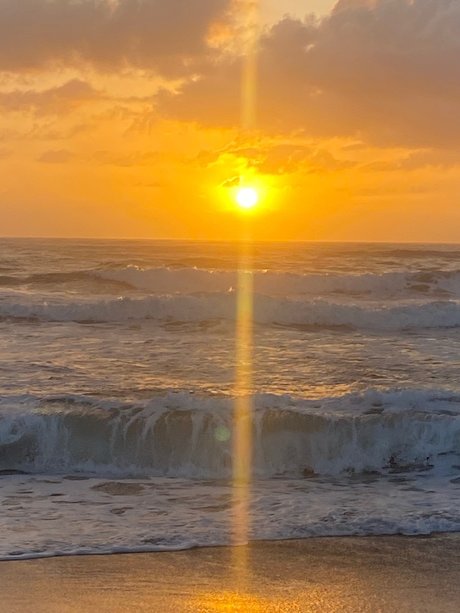 Pittsy only fans nude