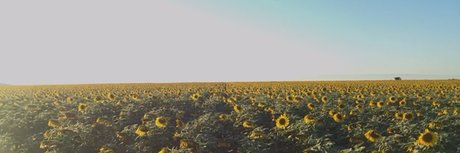 whosthere onlyfans naked