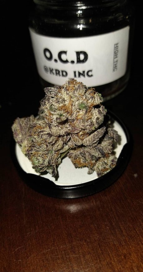 PimpinaintEz leaked only fans nudes