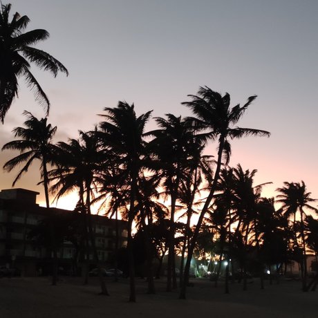 PIELCANELAFeet  selfie