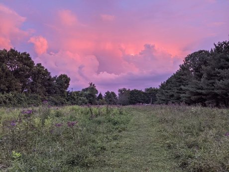 Domme Philippi onlyfans leams