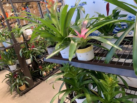 Bill Bigsby onlyfans photos