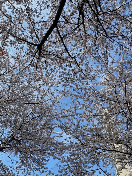 jax amp amp kay onlyfans lean