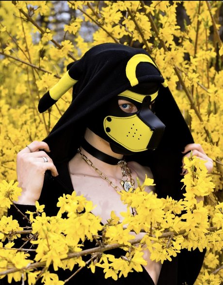 Pup Devil onlyfans model