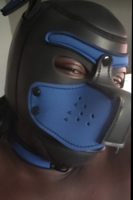 Pup Rella onlyfans leaked.