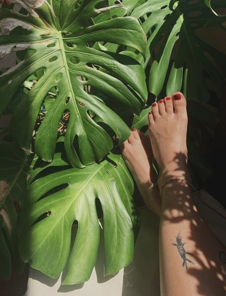 Profeeterole naked only fans