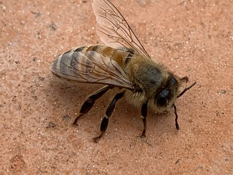 Reasonableish topless onlyfans