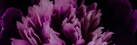 rasir nudes only fans