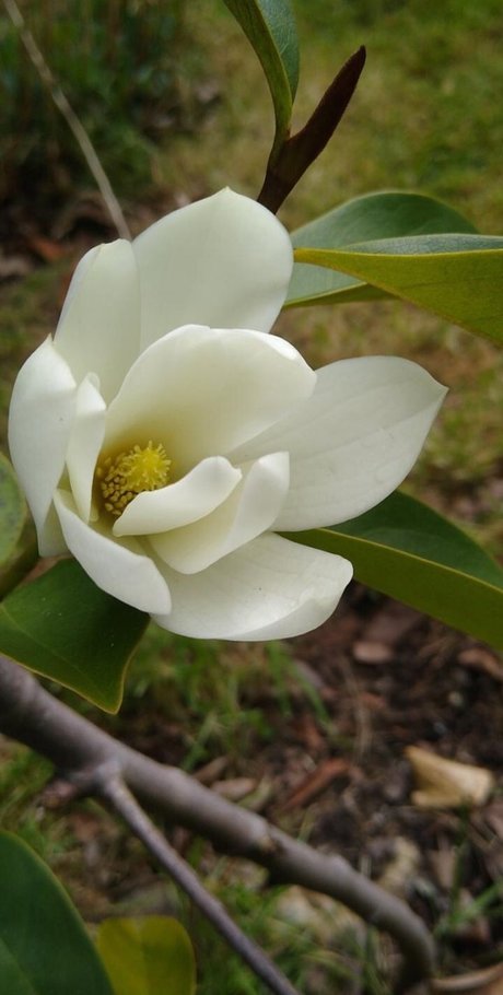 Ash Jones onlyfans nudes