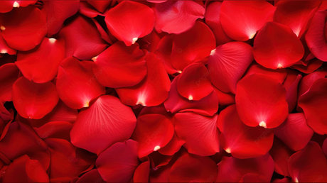 _Banaia Jordan_ leaked onlyfans nude