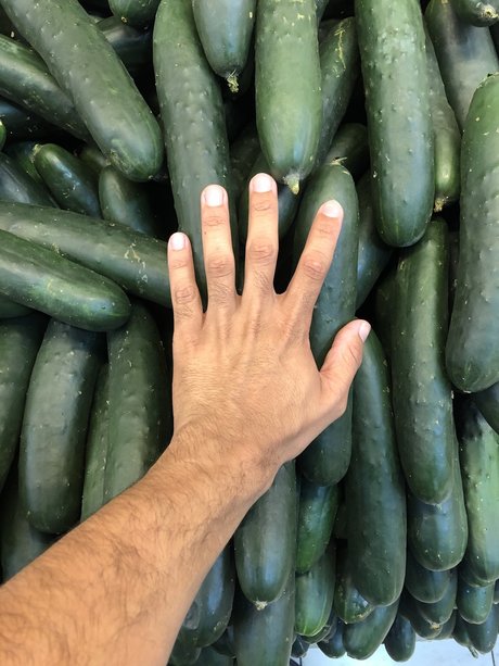 matica de pelo onlyfans leakes