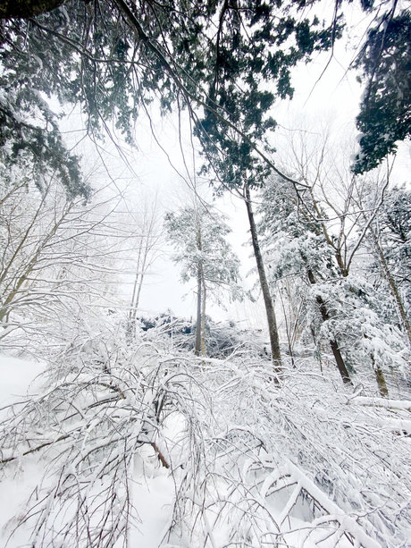 Mason Woods onlyfans leaks