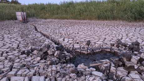 BannerQS onlyfans pics