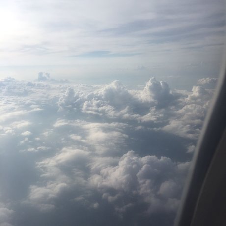 Thatdudeingrey  frame