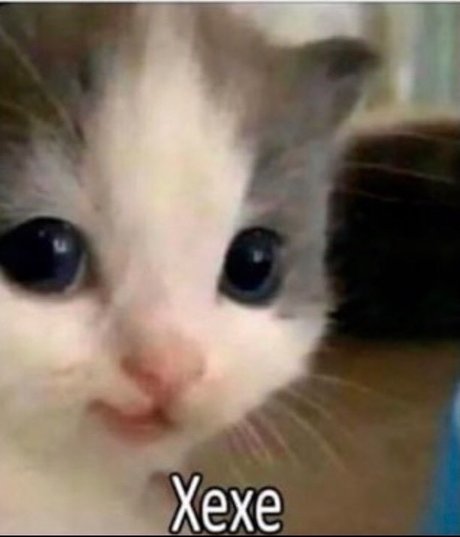 Max Rid naked onlyfans leaks