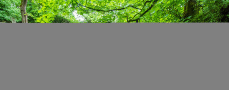 Maxine After Dark onlyfans creator