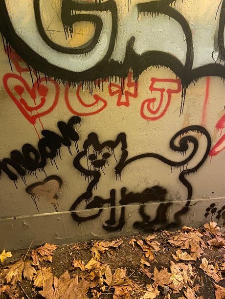 Meowjwanna onlyfans xxx