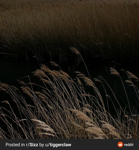 Bella Grey onlyfans x