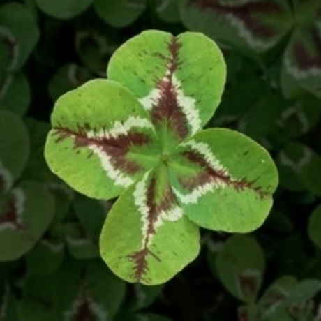 Gyth only fans leak porn