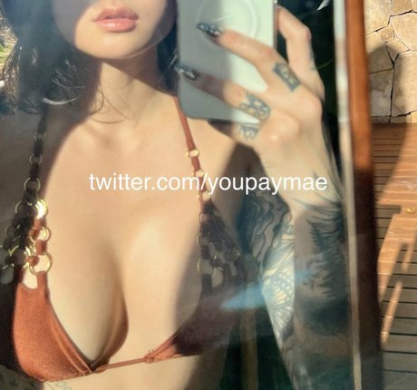 hung shemale onlyfans sexy naked plate