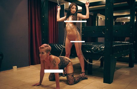 upperfloor onlyfans explicit content