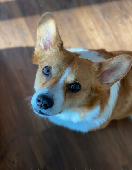 hellsingqueen666 porn onlyfans